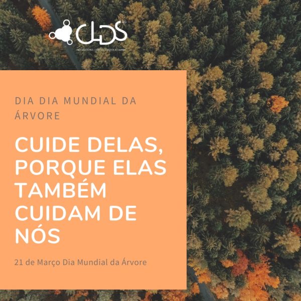 21 de março Dia Mundial da Árvore