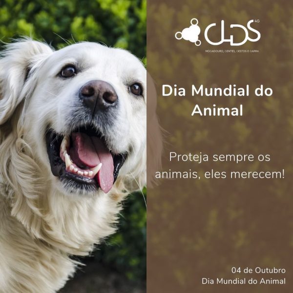 04 de Outubro Dia Mundial do Animal