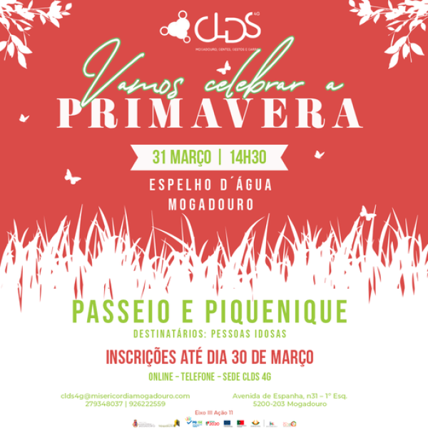 VAMOS CELEBRAR A PRIMAVERA | PASSEIO E PIQUENIQUE