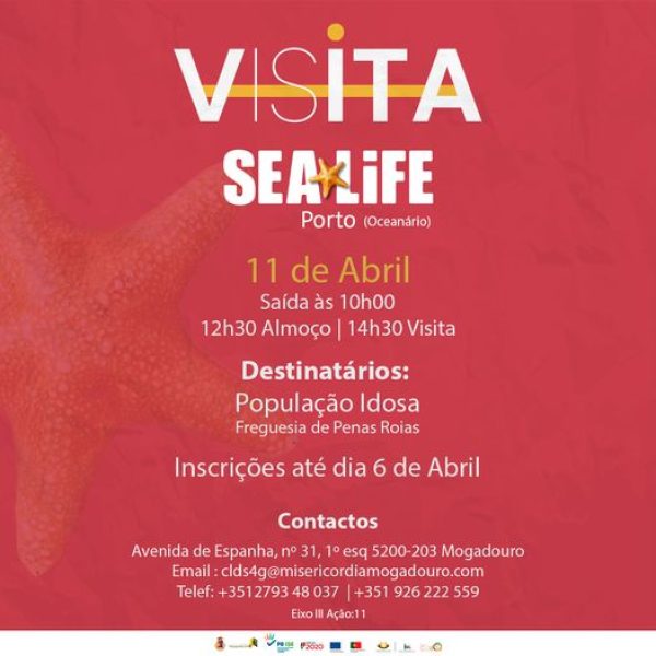 VISITA | SEA LIFE